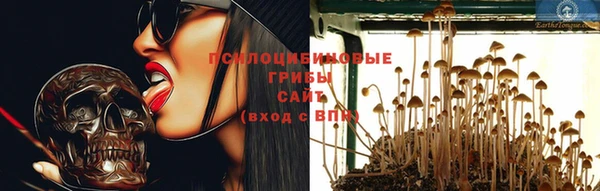 трава Бронницы