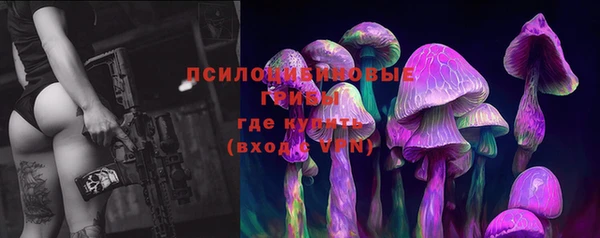 трава Бронницы