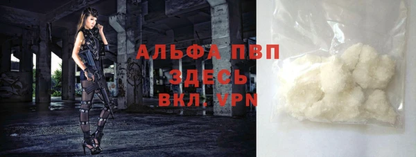 PSILOCYBIN Бородино