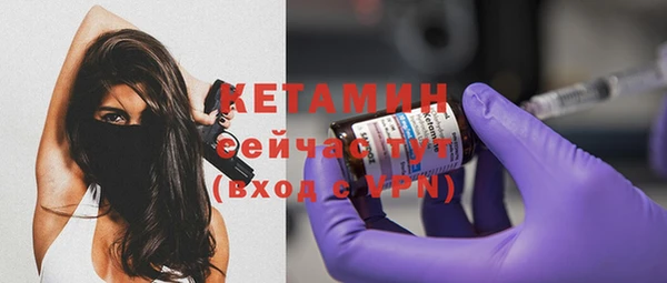 шишки Белая Холуница