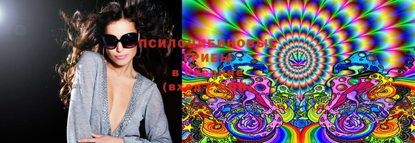 PSILOCYBIN Бородино