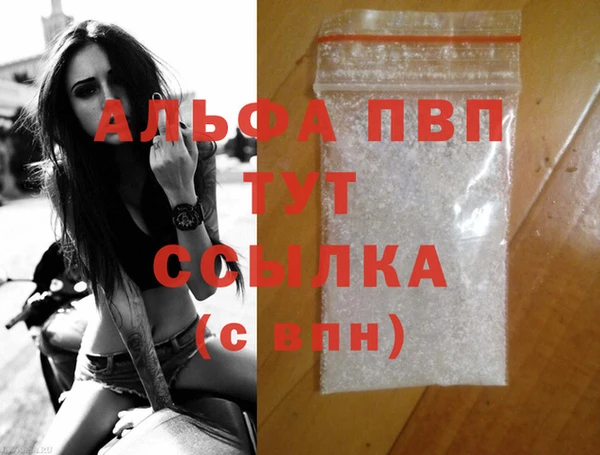 PSILOCYBIN Бородино