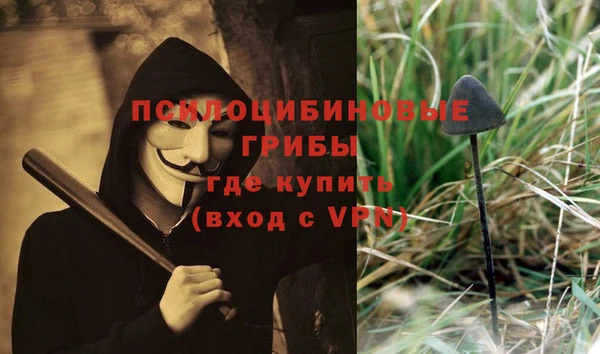 трава Бронницы