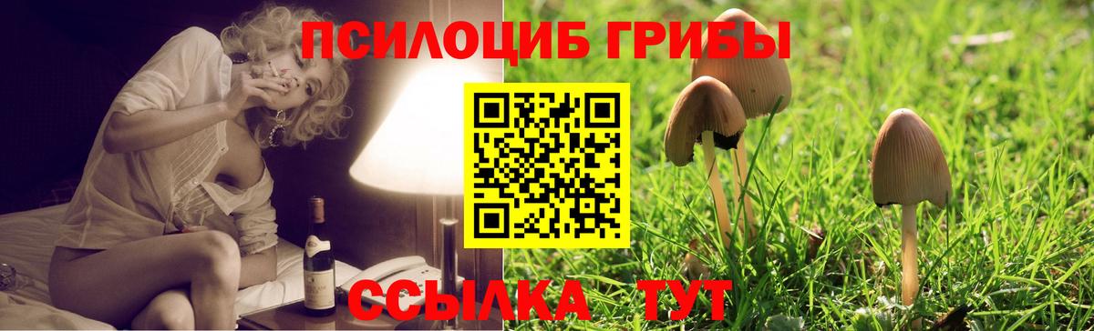 Галлюциногенные грибы мицелий Воскресенск